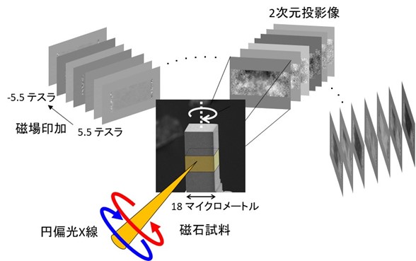 最先端の永久磁石材料内部の微小磁石の振舞いを3次元で透視超高性能 