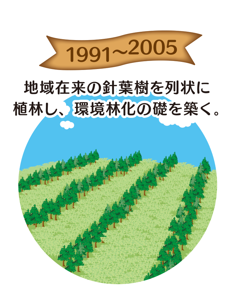 1991〜2005 地域在来の針葉樹を列状に植林し、環境林化のクサ礎を築く。