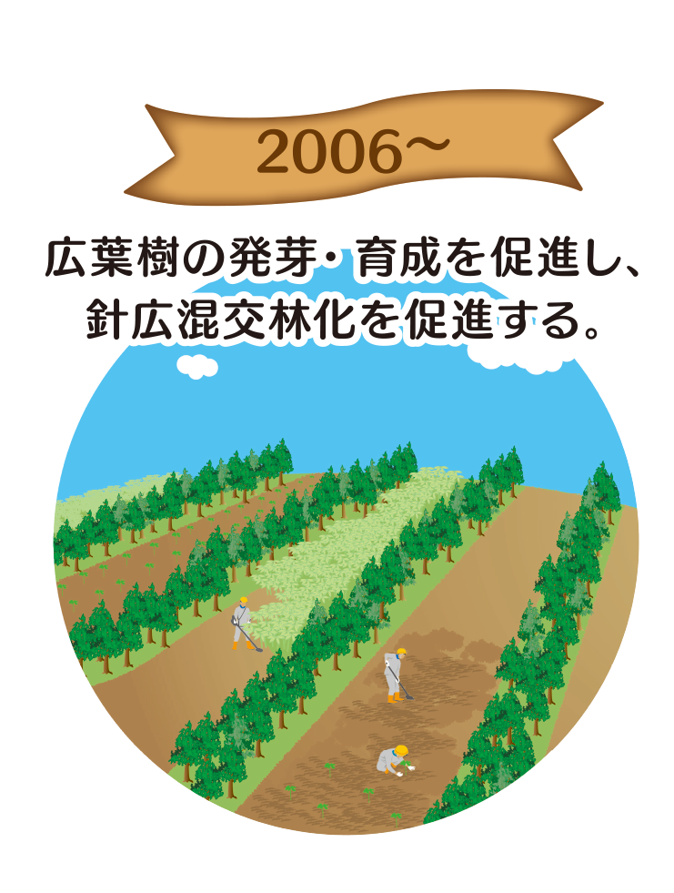 2006〜 広葉樹の発芽・育成を促進し、針広混交林化を促進する。